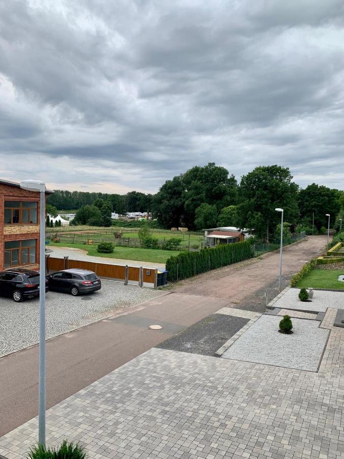 Ferienwohnung Zur Dexter-Zucht Coswig Coswig  Eksteriør bilde